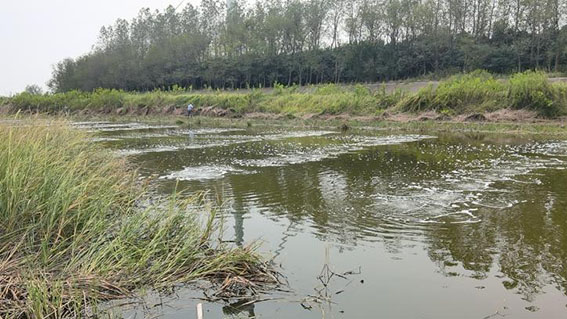 我司鹽城東臺養殖尾水處置項目成功試運行并獲市領(lǐng)導高度認可