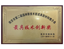 最具技術(shù)創(chuàng  )新獎